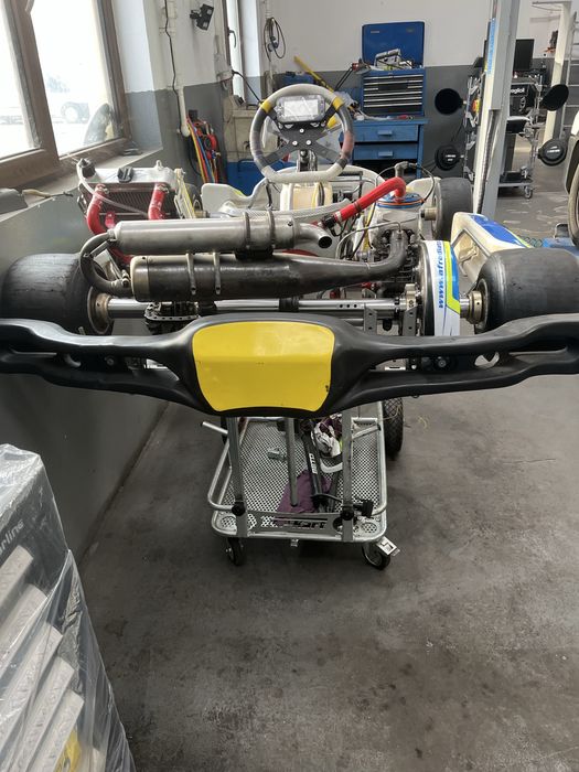 Kart republic kr2-iame reedster