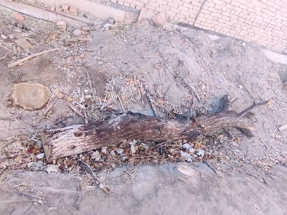 отын сатылады !!!