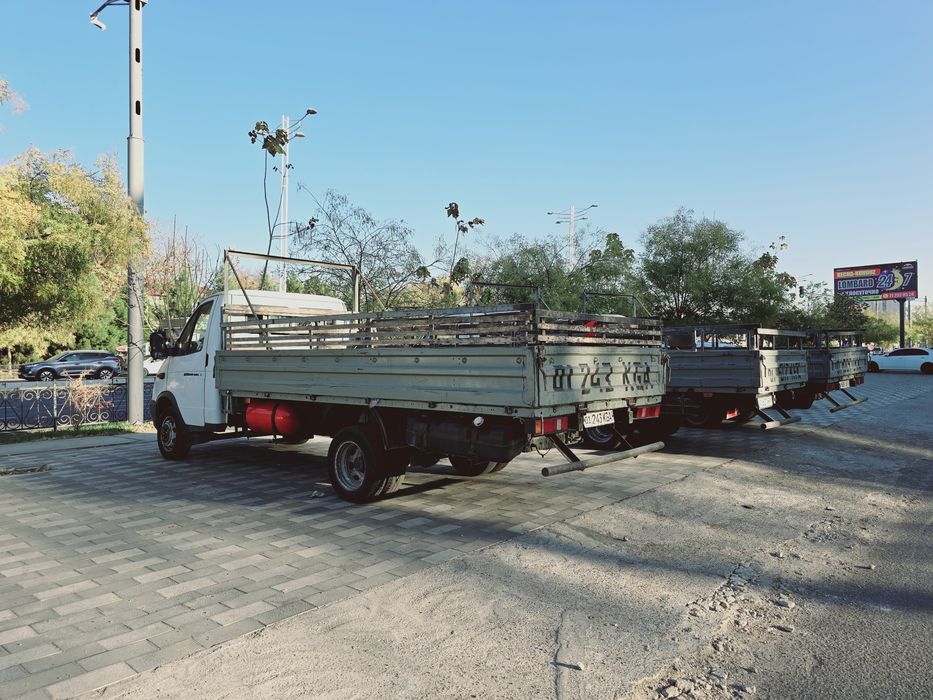 Gazel Gurzavoy Sotiladi