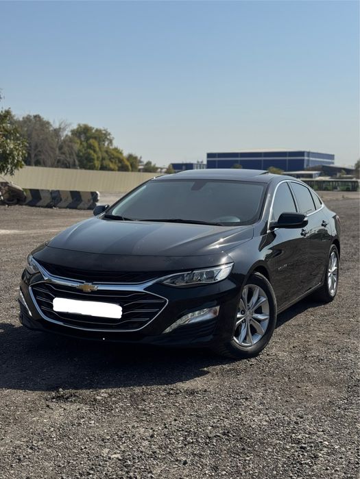 Premier malibu ideal