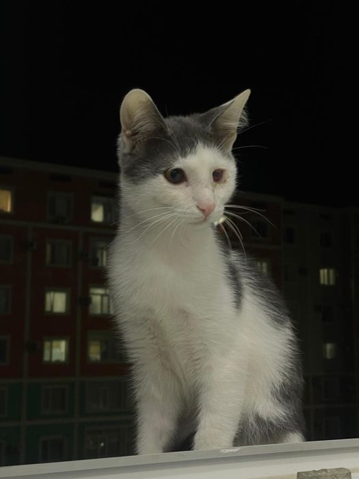 Ищем дом малышу мальчик 6 месяцев.