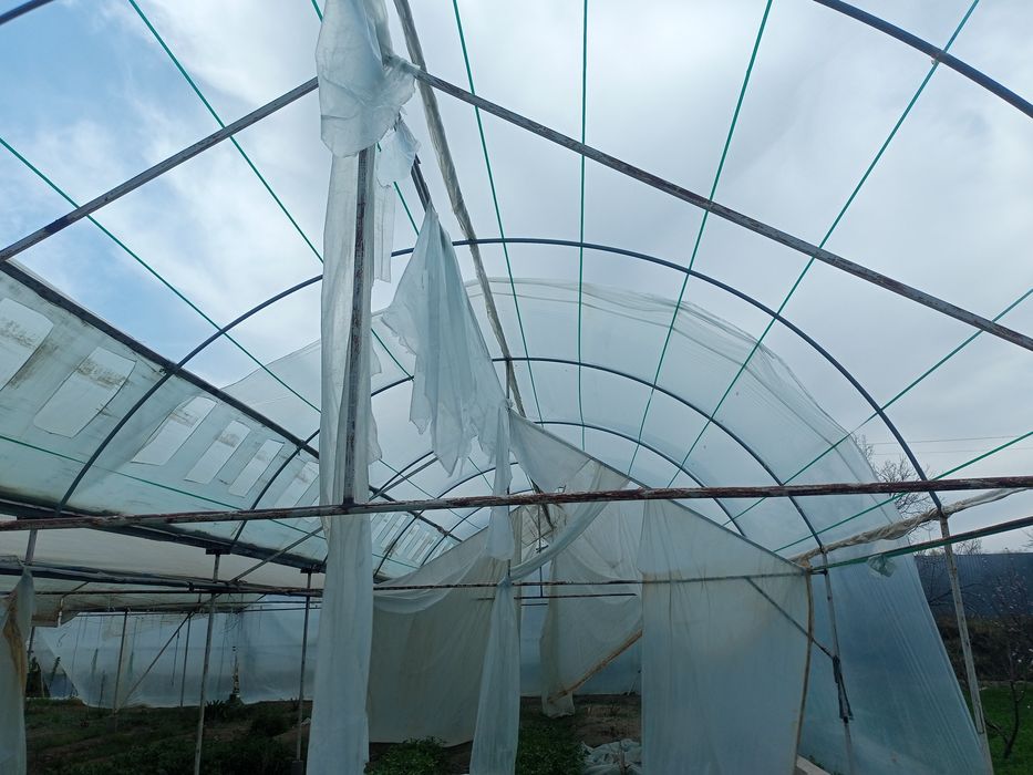 Парник 6 сотокли