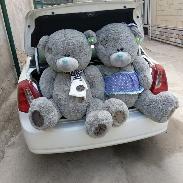 Teddi Teddy 1+1 Optom Narxda