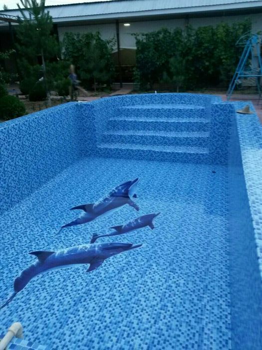 Баннер навес закрит банер бассен Banner ko baner маскитни сетка маскит