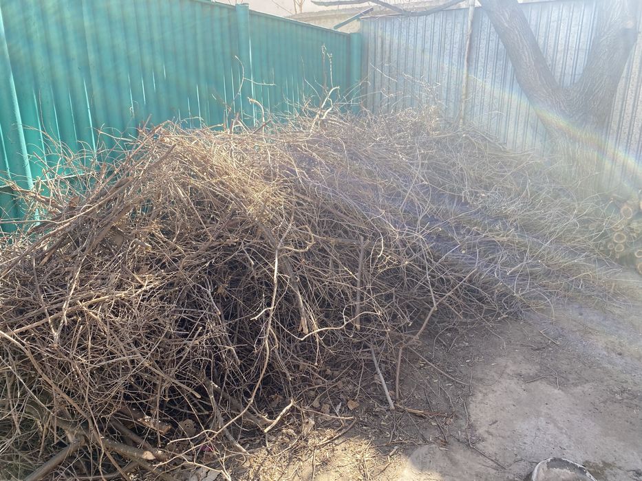 Отын, агаш, дрова