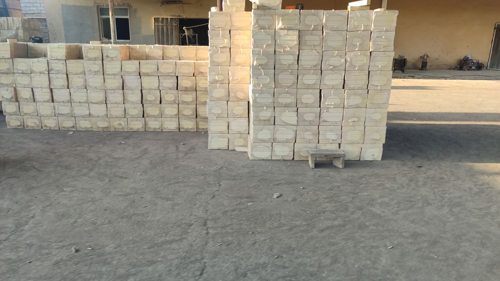 Padrashivka gʻishtlari