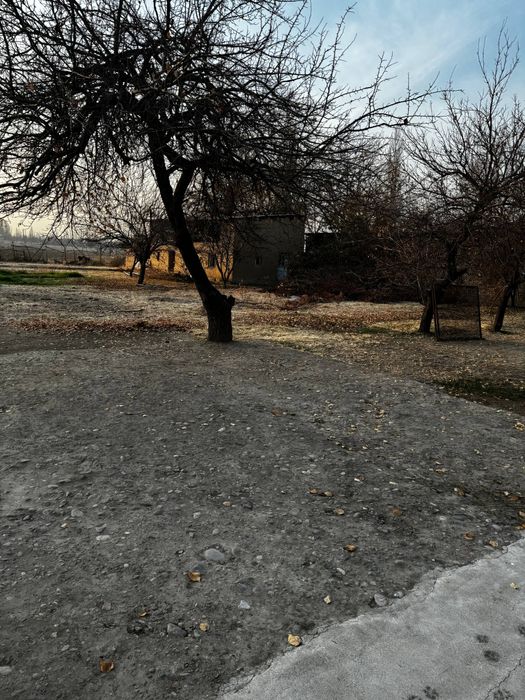 Uchastka sotiladi bez makler, ortasaroy