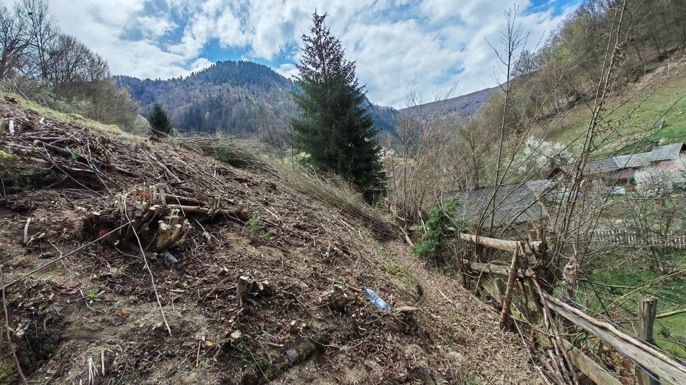 Curatam grădini toaletăm copaci