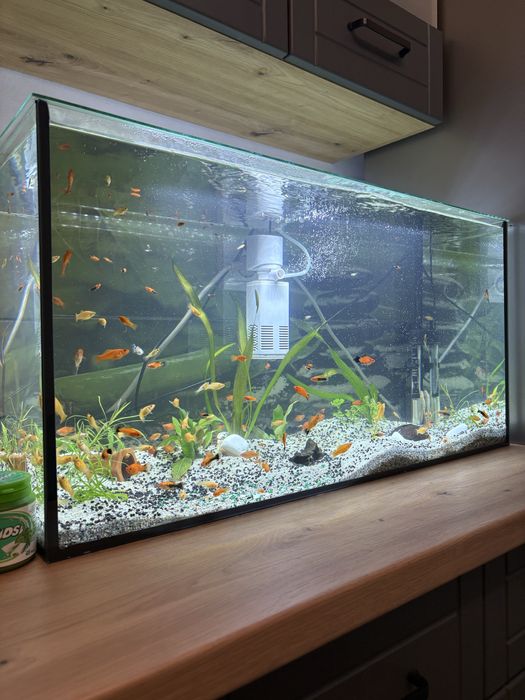 Vand Acvariu de 120 Litri