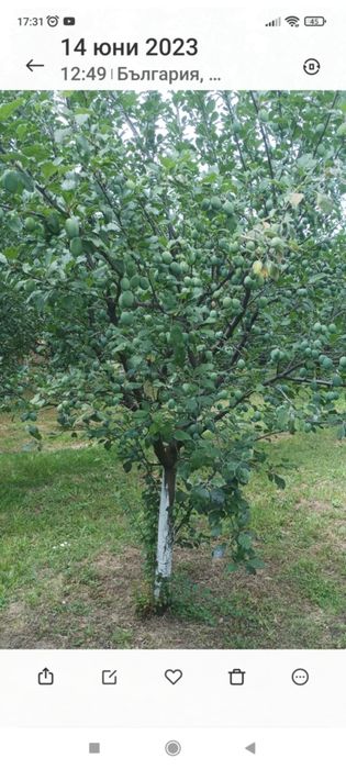 Продава се Къща в с. Асеновци, Област Плевен - 60 кв.м за 192 €/кв.м - Снимка #6