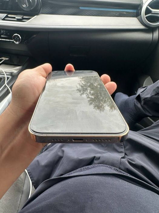 Iphone 12 pro max 256 gb