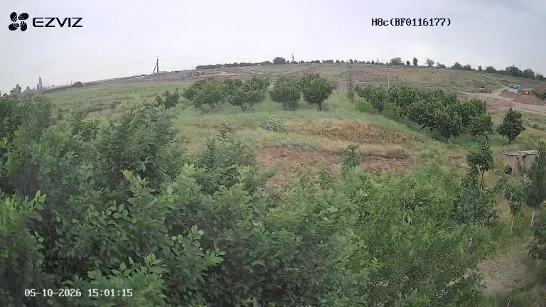Гилос бог уй молхона свет сув хамма нарсаси бор