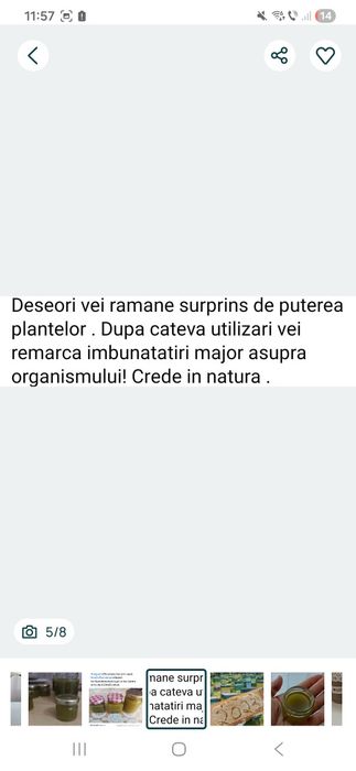 Cremă de brusture fără chimicale sau adaosuri