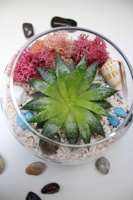 Флорариум с езеро - подарък за рожден ден и др поводи