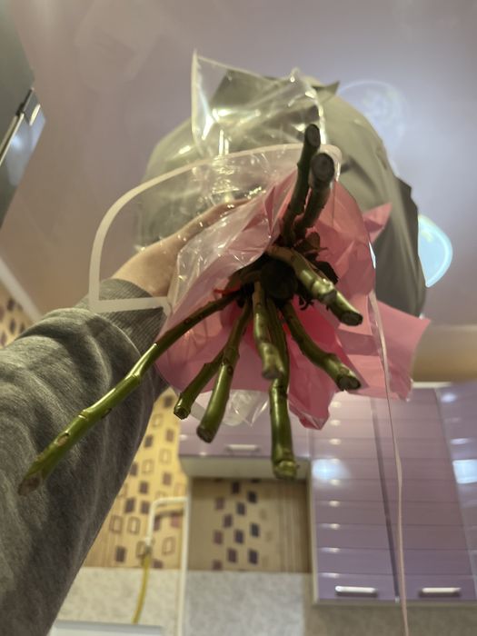 Кустовые розы продаю