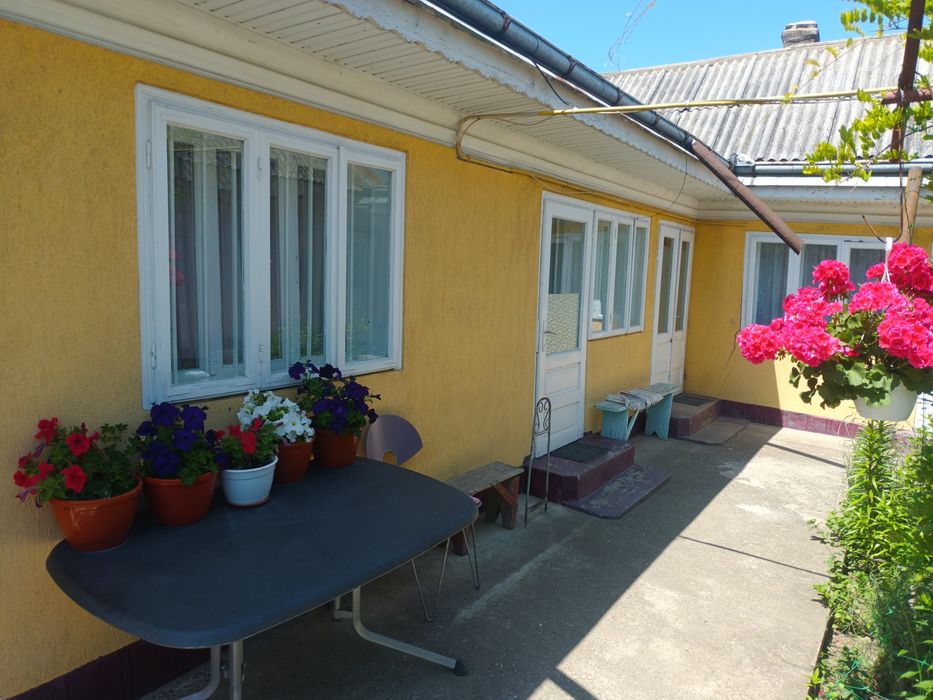 Casa și magazin mixt