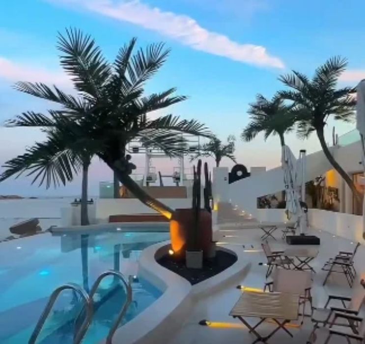 Palmalar yasab berish parki