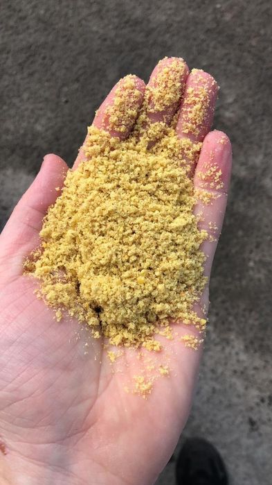 Рапс.Платный чат!Все корма.