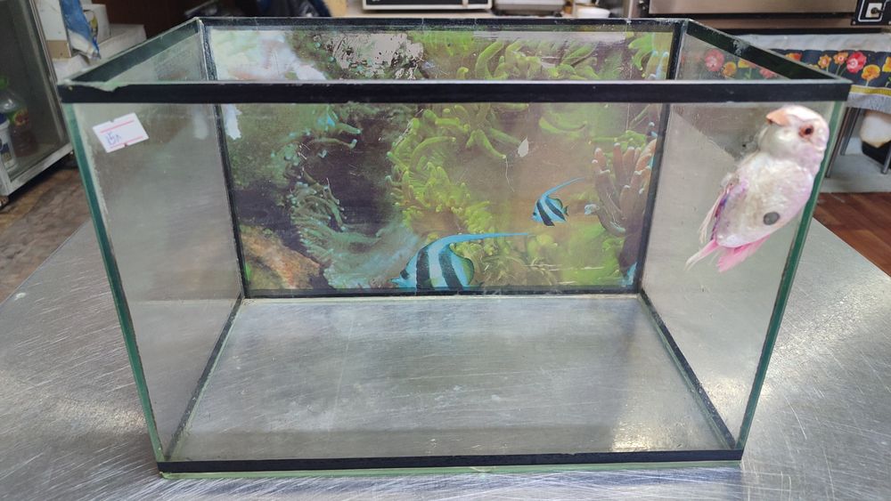 Продам аквариум для рыбок!