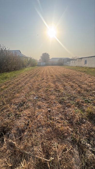 12 sotih yer maydoni sotiladi