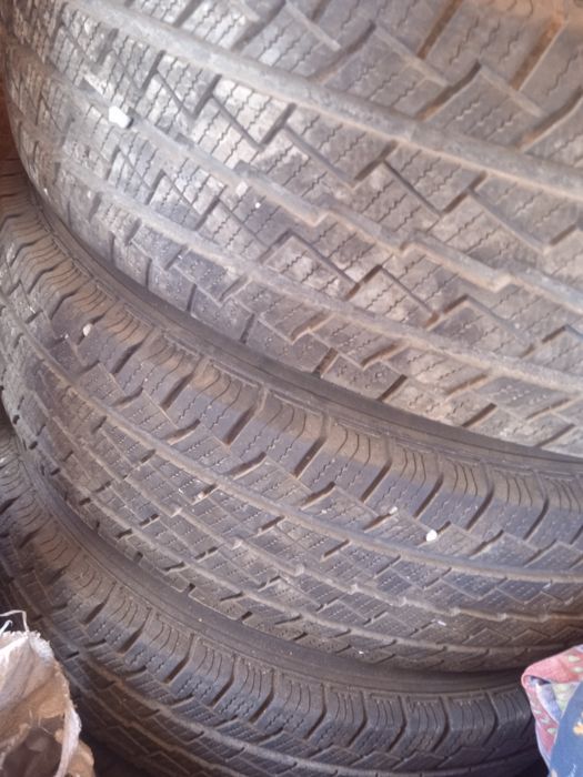 Нивсның балондары сатылады