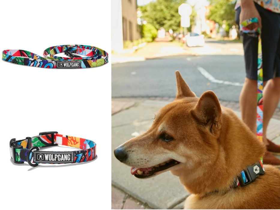 NOU! Zgarda + lesa caine Wolfgang Man & Beast SUA