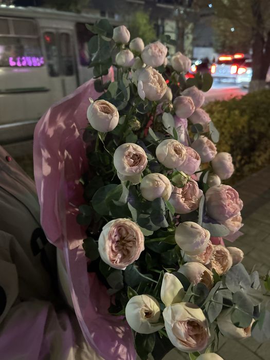 Пионидивный раушан 51 шт