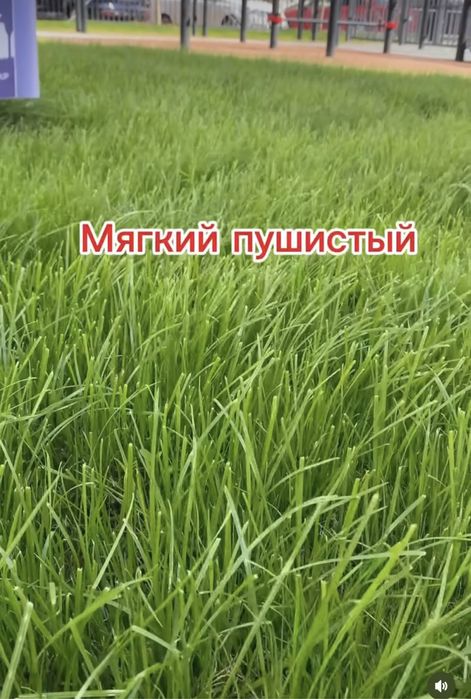 Озеленение и благоустройство