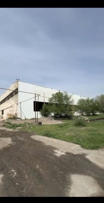 15 GEKTAR ANGAR ZAVOD SOTILADI SROCHNA suv svet gaz kanalizatsiya bor