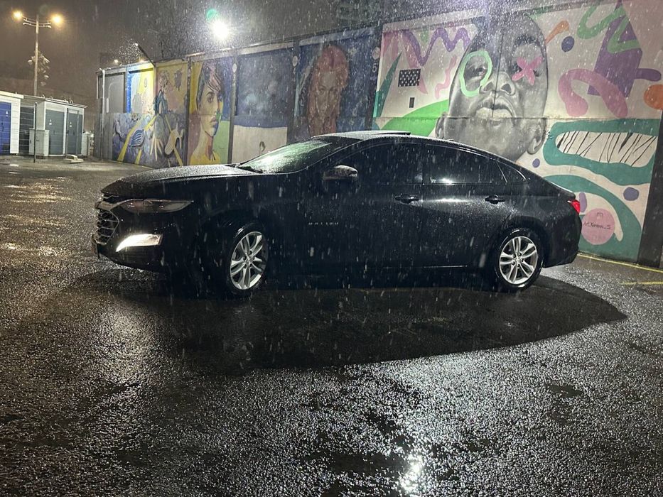 Malibu Arendaga Tozza