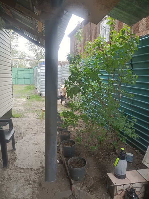 Продам Дом 50 м2