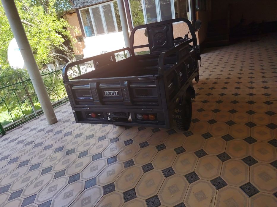 Трицыкол муравей