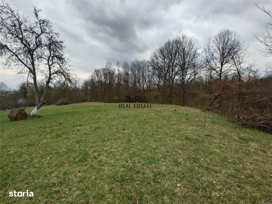 10 000 mp teren intravilan cu priveliste