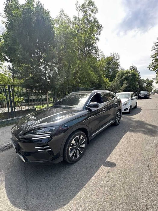 BYD CHAMPION 2025 Restyling