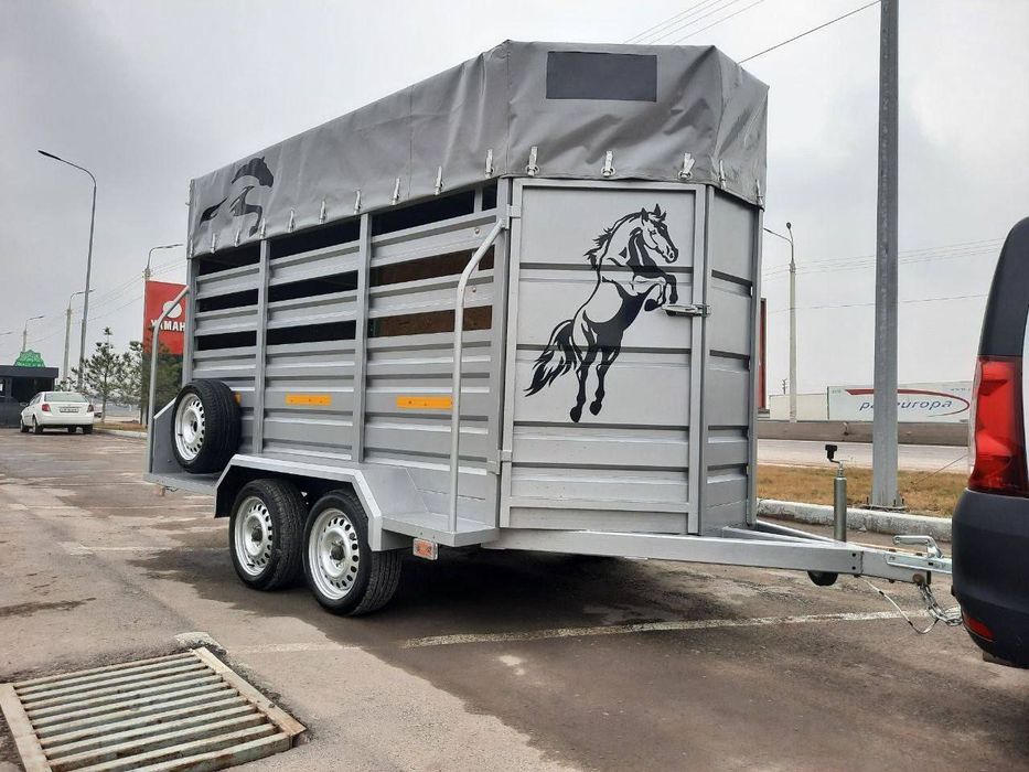 Barcha yengil Afto Pirsep