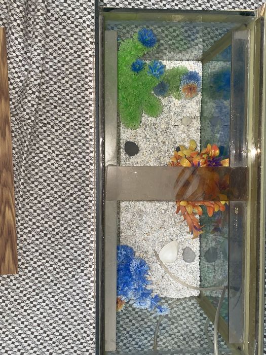 TAYYOR akvarium sotiladi.