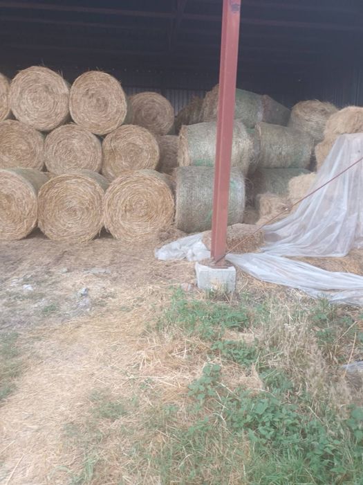 Продавам бали сено, бали сено и люцерна