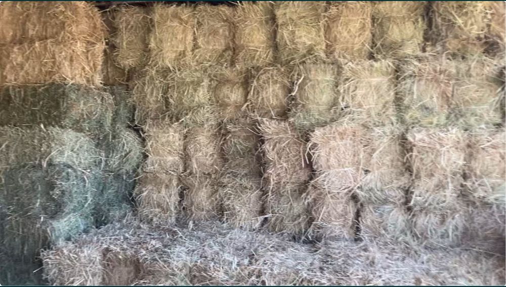 Beda va somon pres optom narxlarda