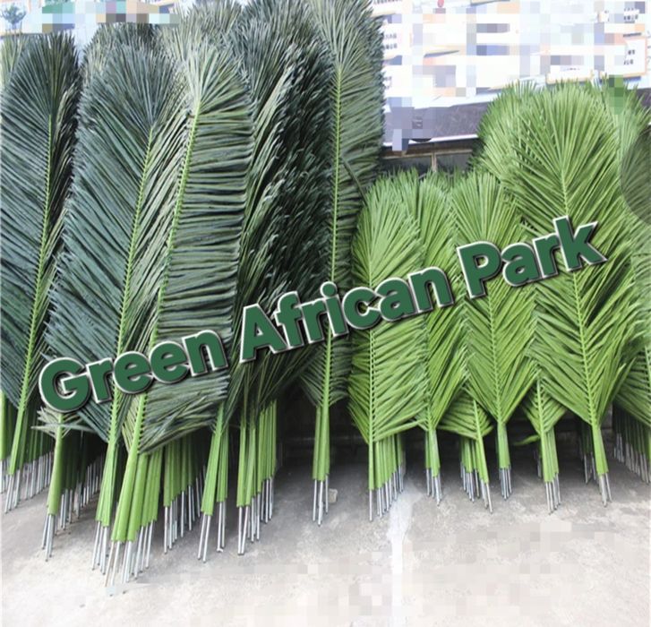 Пальмовы  листья