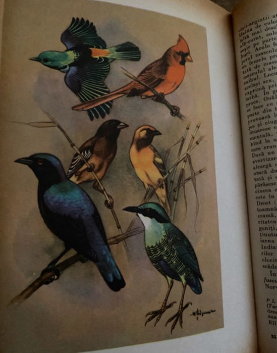 Lumea animalelor -Brehm