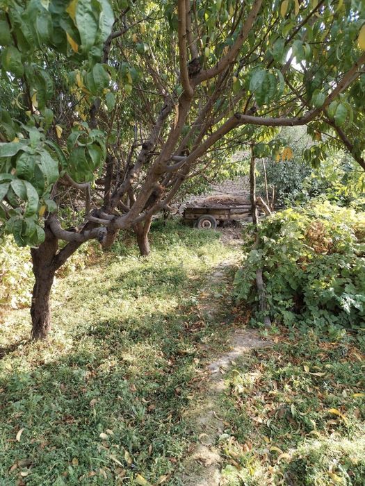 Yer sotilad(quruq yer) 4 sotix