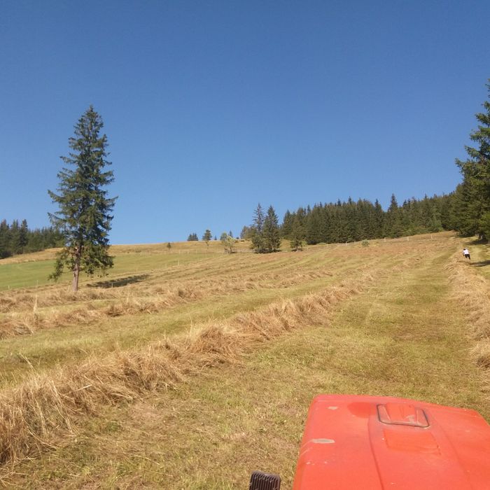 Fân de munte calitate I cu transport