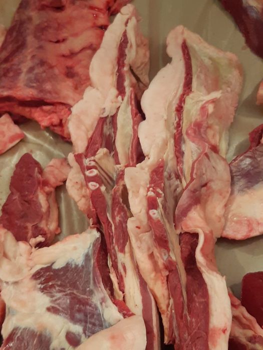 Мясо конина аяктап бір елі,возраст 2 года