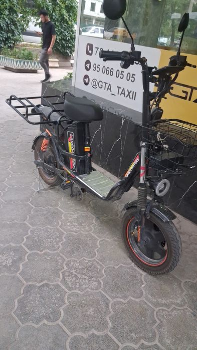 Electric bike LARGO motors