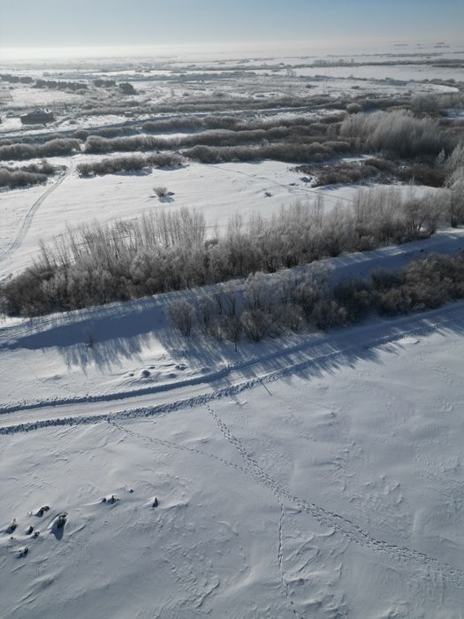 Рядом лес хорошая развитая територия