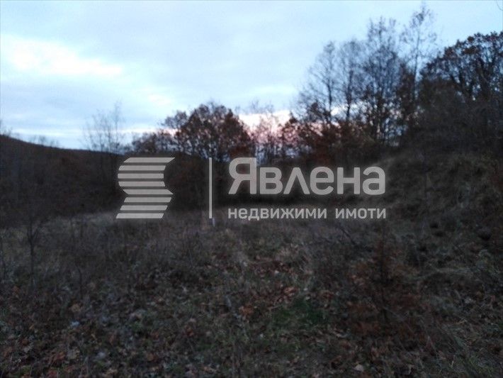 Продава се Парцел в с. Изгрев, Област Бургас - 462 кв.м за 64 €/кв.м - Снимка #2