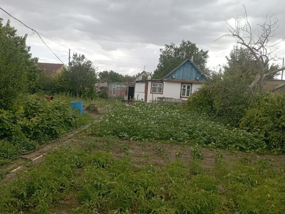 Дача БАМ Горняк Вишнёвая улица