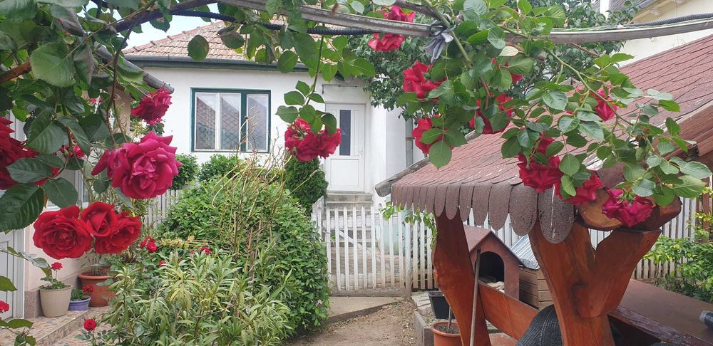 Vand Casa in Blaj