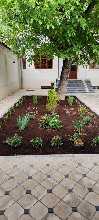 Садовник благоустройство ландшафт богбон газон посадка арча ёлка стрич