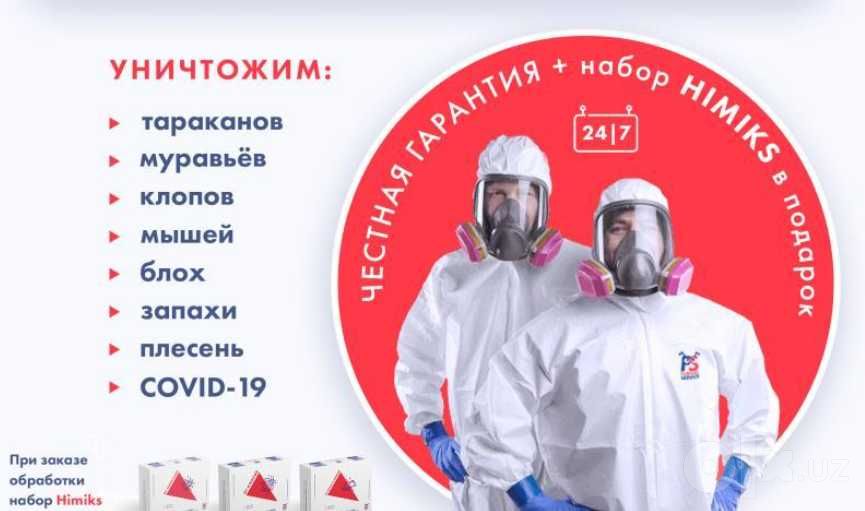 Дезинфекция клопов дезинфекция от клопов dezinfeksiya Tashkent klapa